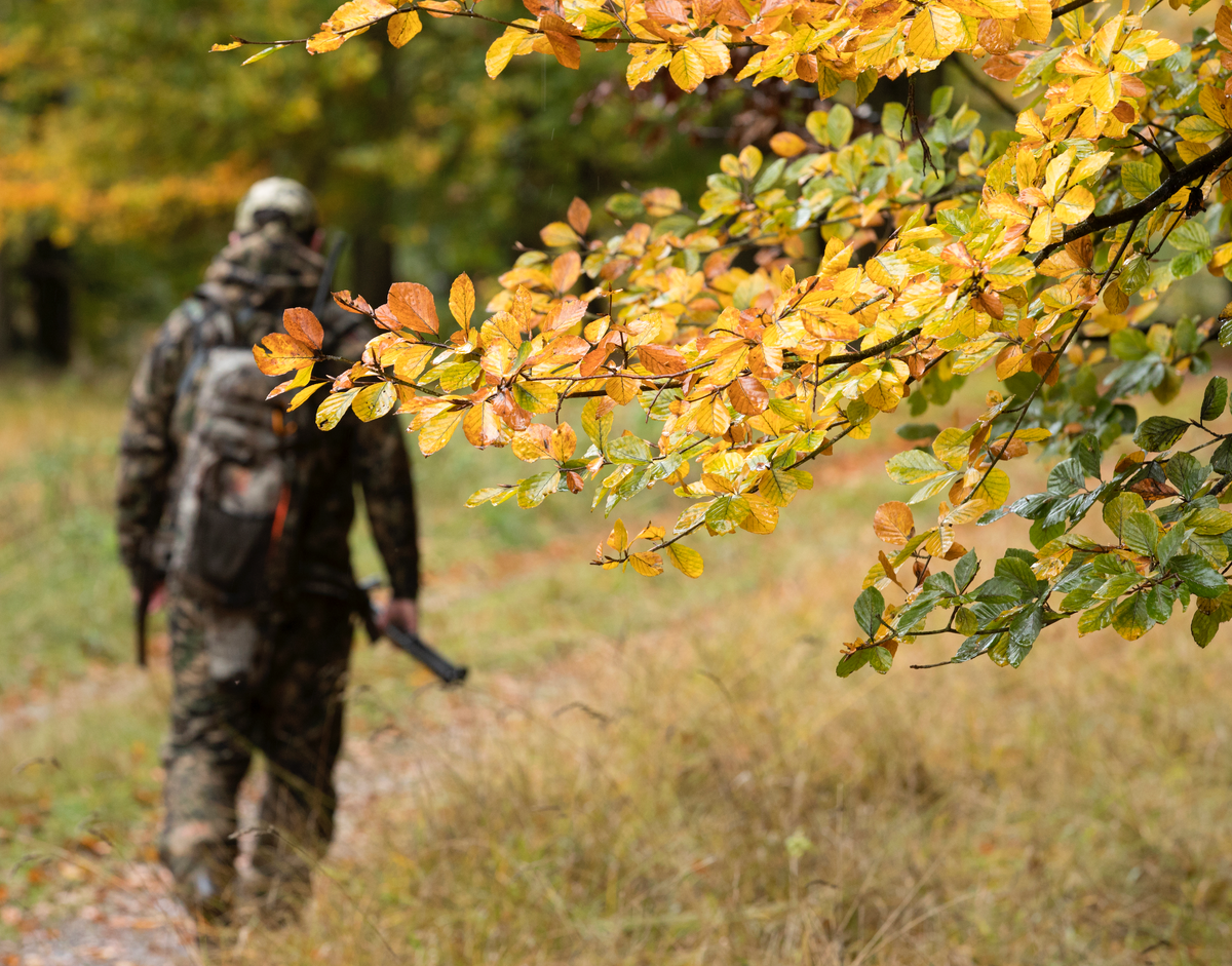 Sealskinz Broome handsker - BESTSELLER