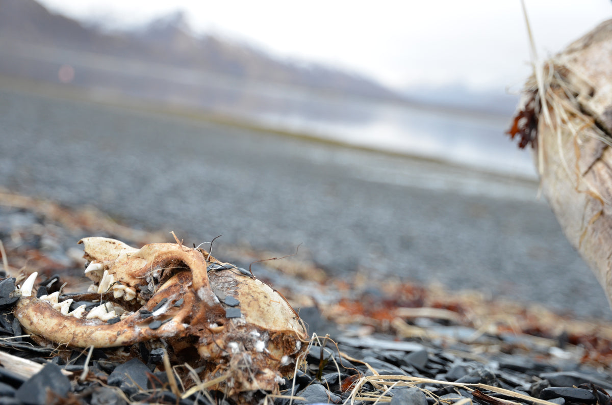 Sitka Traverse Glove