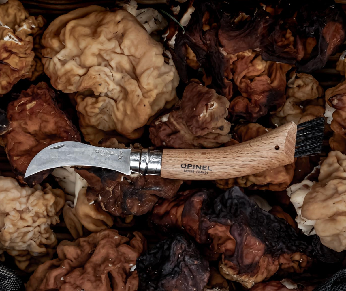Opinel Svampekniv N°8 i Eg - gaveæske