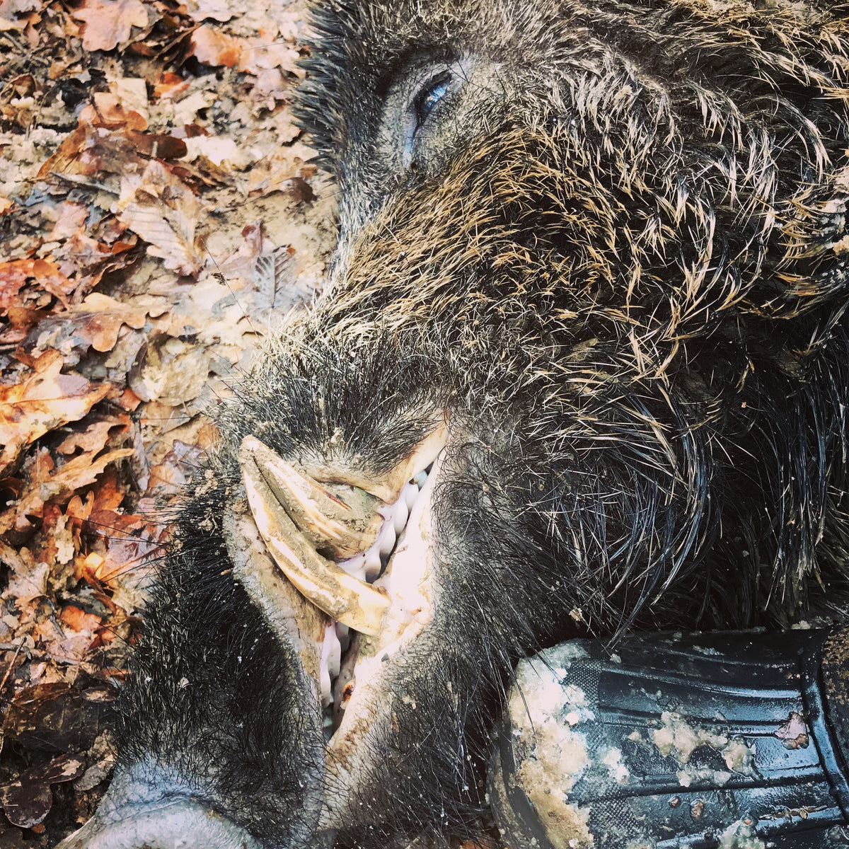 Sitka Neck Gaiter