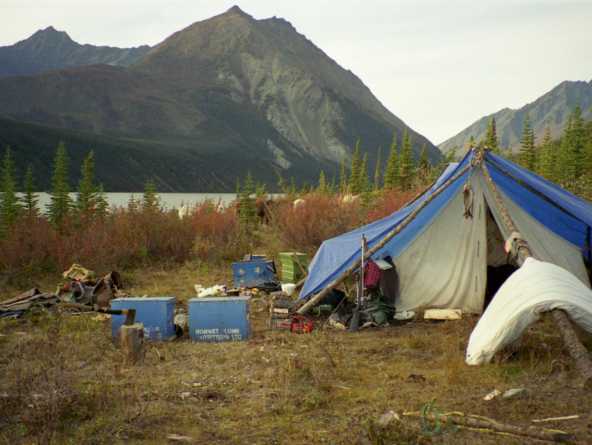 Det er nu eller aldrig - jagt uden foræringer i Alaska, New Zeland og Canada af claus Ballisager