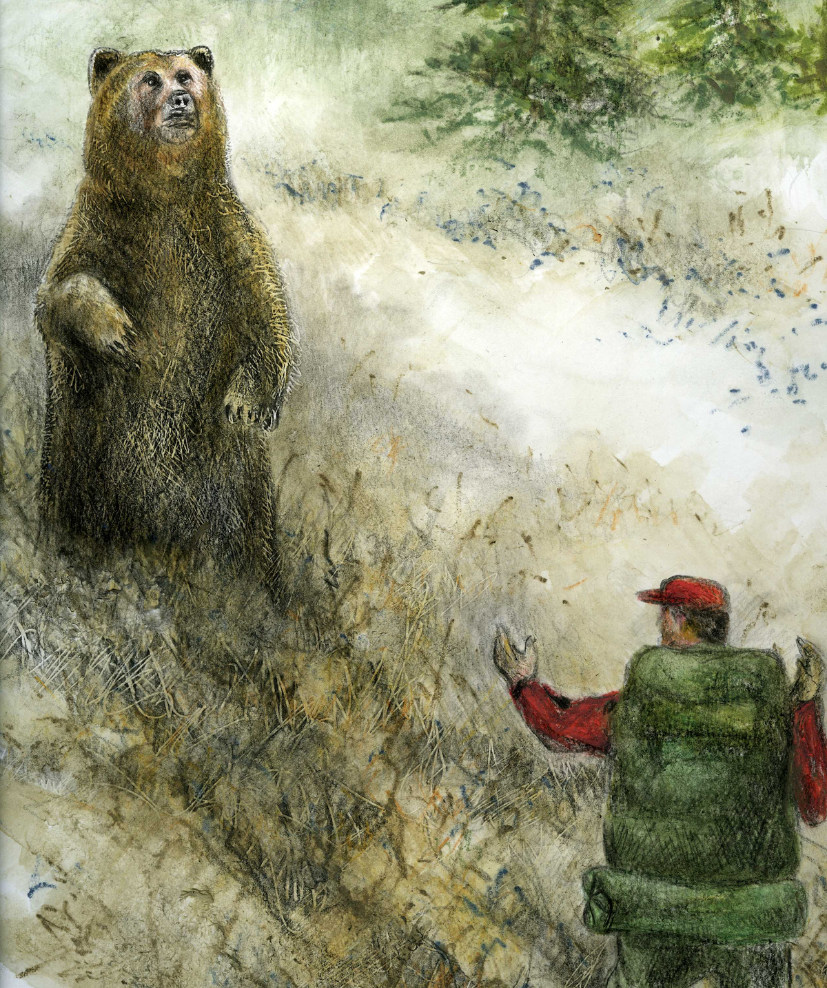 Beredt på bjørne - fortællinger og gode råd fra vildmarken af Claus Ballisager
